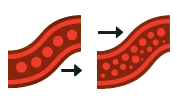 An illustration explaning low circulation and high circulation